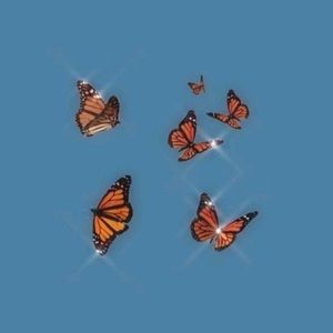 Meet your Posher, Ellie